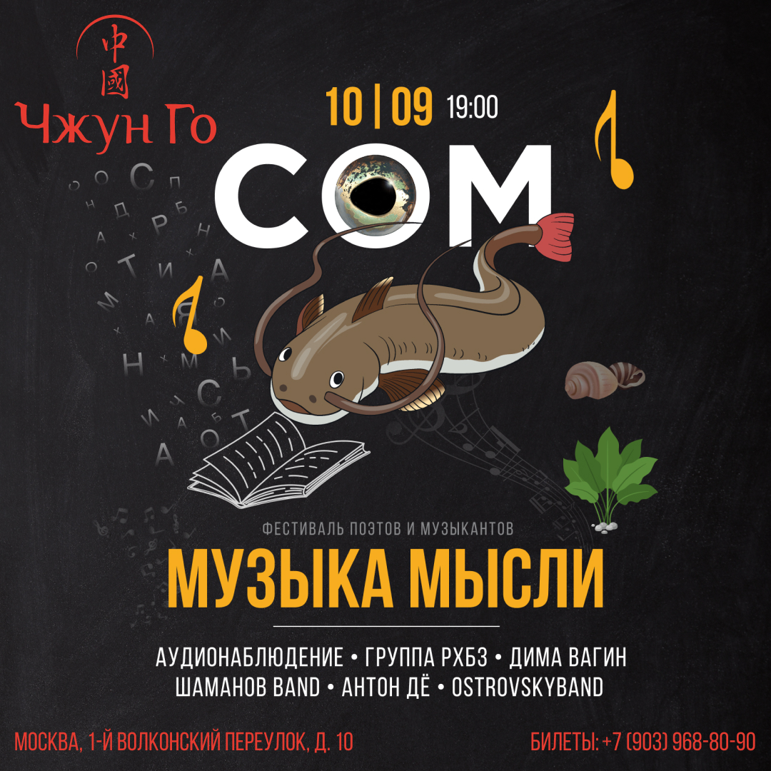 Музыка мысли. Фестиваль поэтов и музыкантов